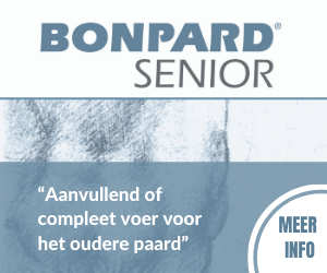 Bonpard Senior - Medium Rectangle 4