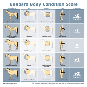 Bonpard_Body_Condition_Score