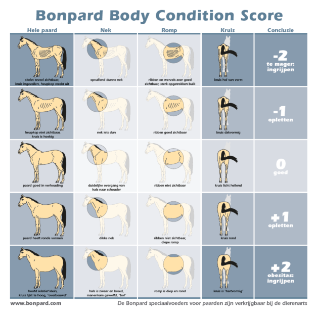 Bonpard_Body_Condition_Score