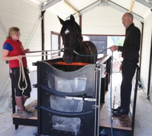 Paardenarts.nl_Leen Soldaat Aquatrainer opleiding