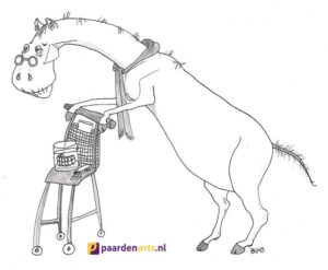 Paardenarts.nl - oud paard illustratie Dymphie van den Bergh - Made On Ameland 2