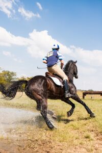 Voeding bij (sport)paarden met spierproblemen _voeding eventing