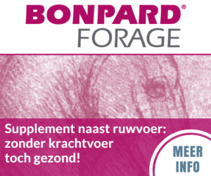 Bonpard Forage_Medium Rectangle nieuw def2