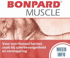 Bonpard Muscle - Medium Rectangle new def