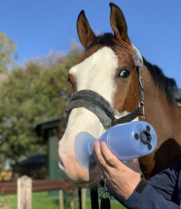 MDI systeem aerosoltherapie paard