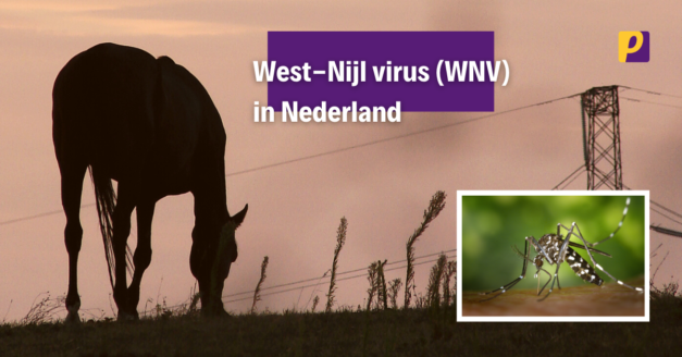 West-Nijl virus (WNV) ook in Nederland