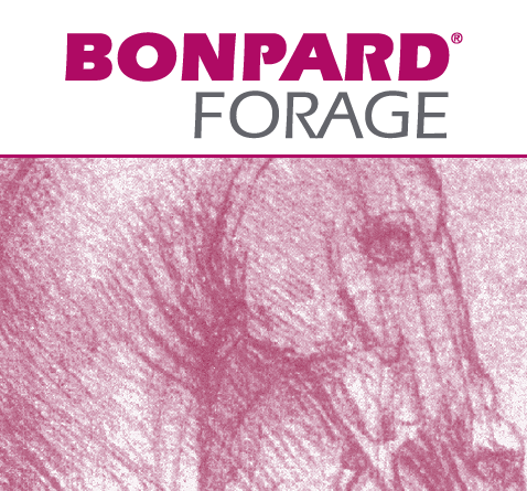 Bonpard Forage supplement