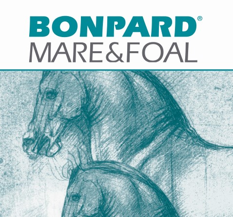 Bonpard Mare and Foal - productpagina